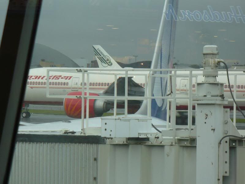 P1020134.jpg