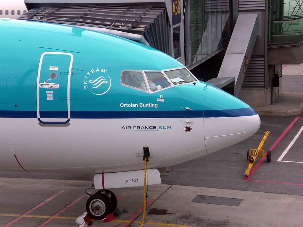 737-KLM.jpg