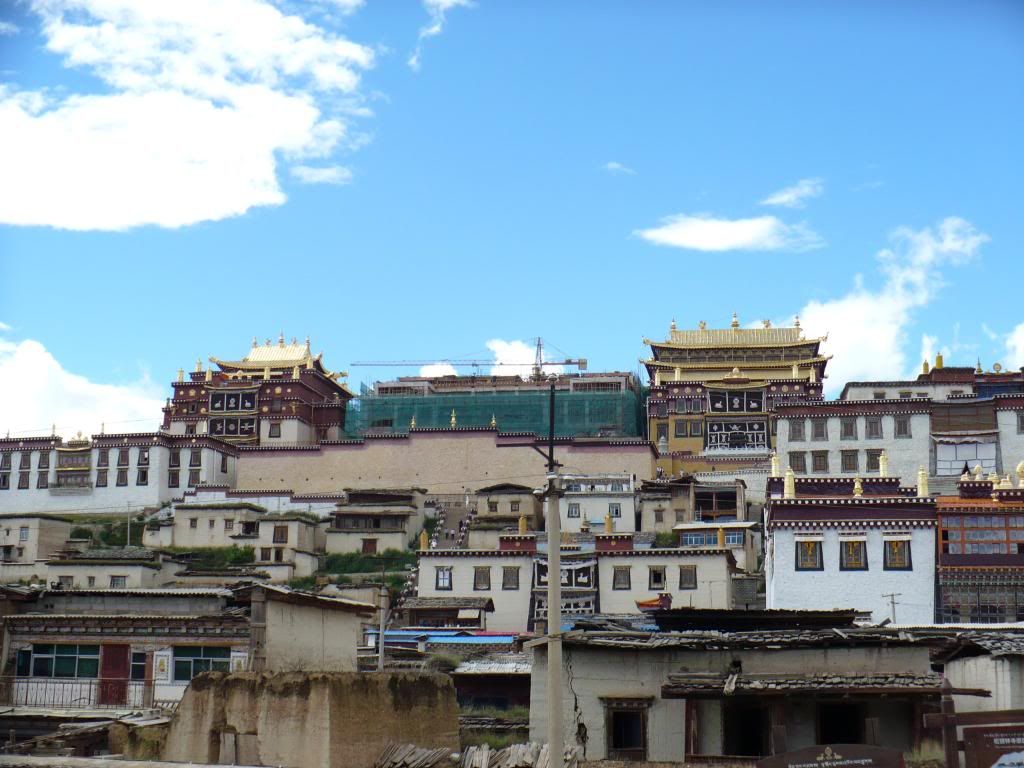 P1010186.jpg