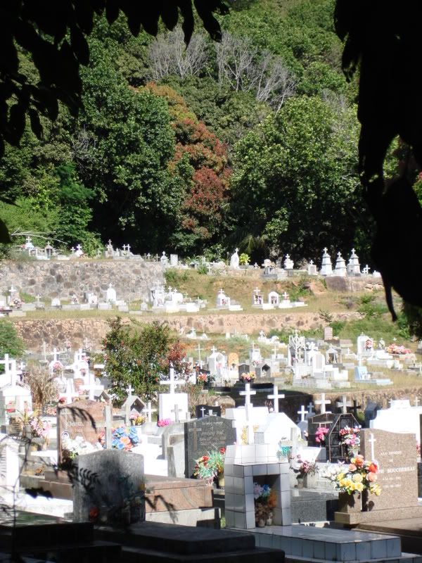 DSC00859.jpg