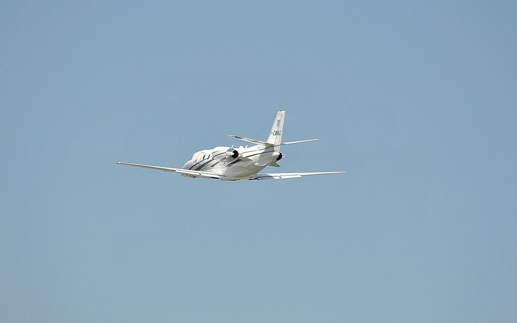 DSC_0356.jpg