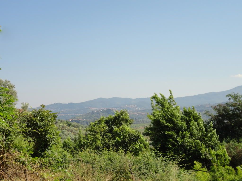 DSC00360.jpg
