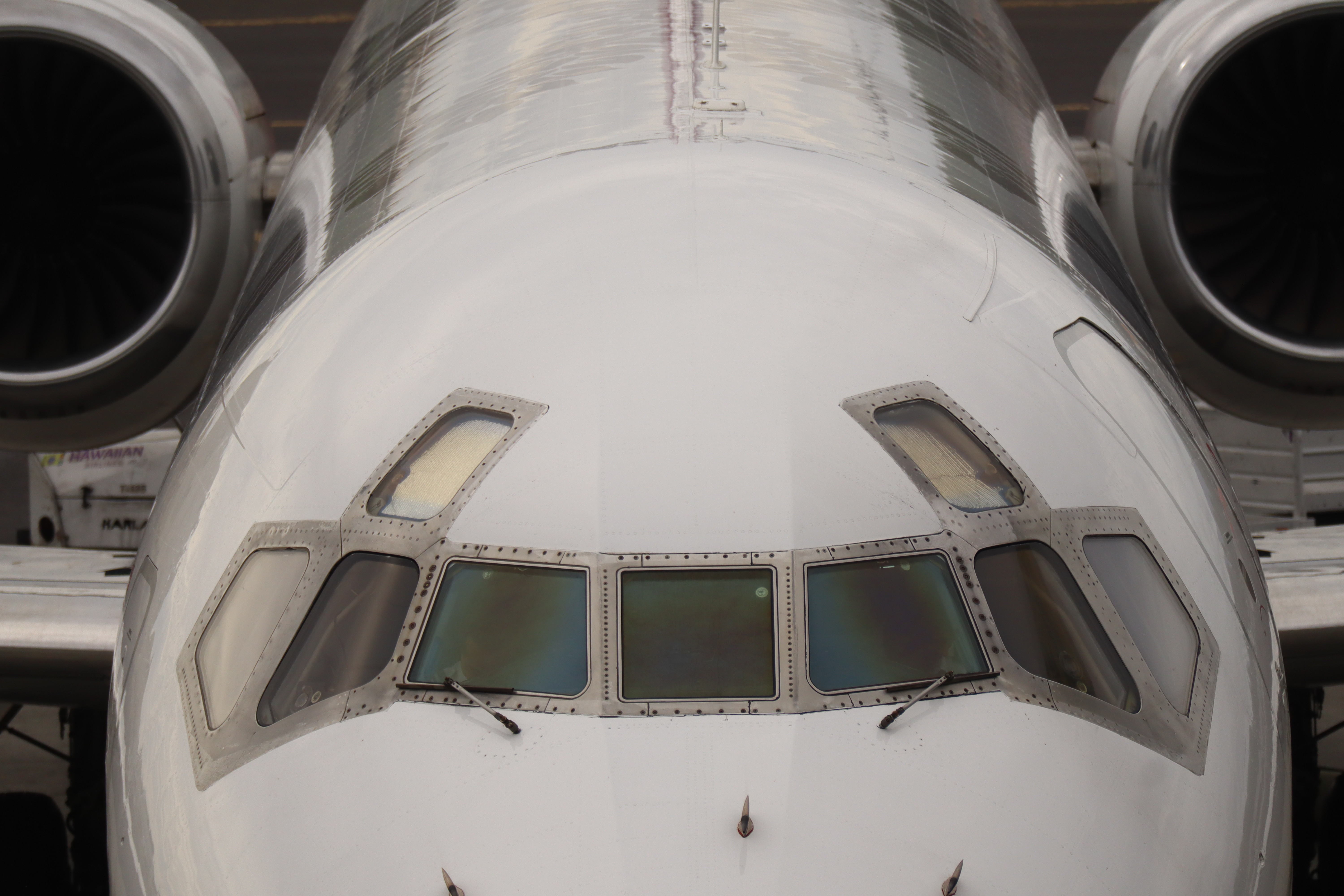 49529089171_f5ab447947_6k.jpg