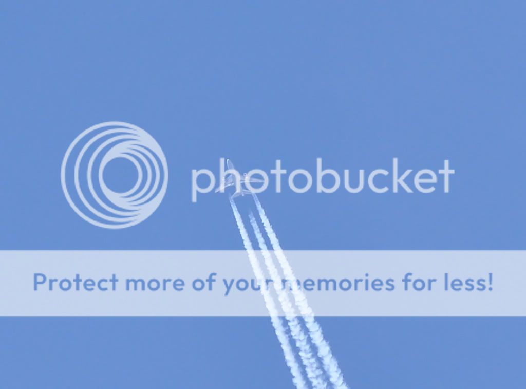 scie.jpg