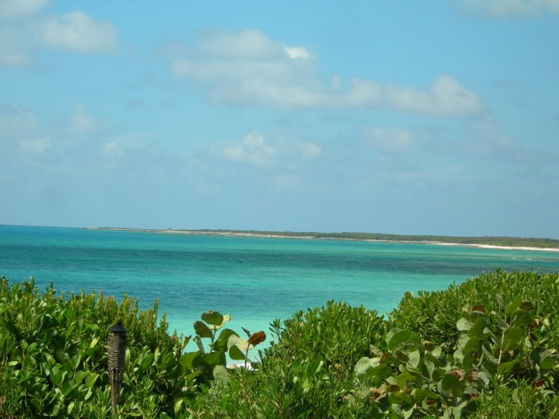 DSCN0535.jpg