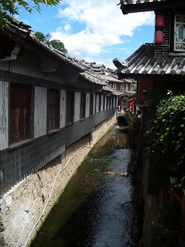 P1010026.jpg