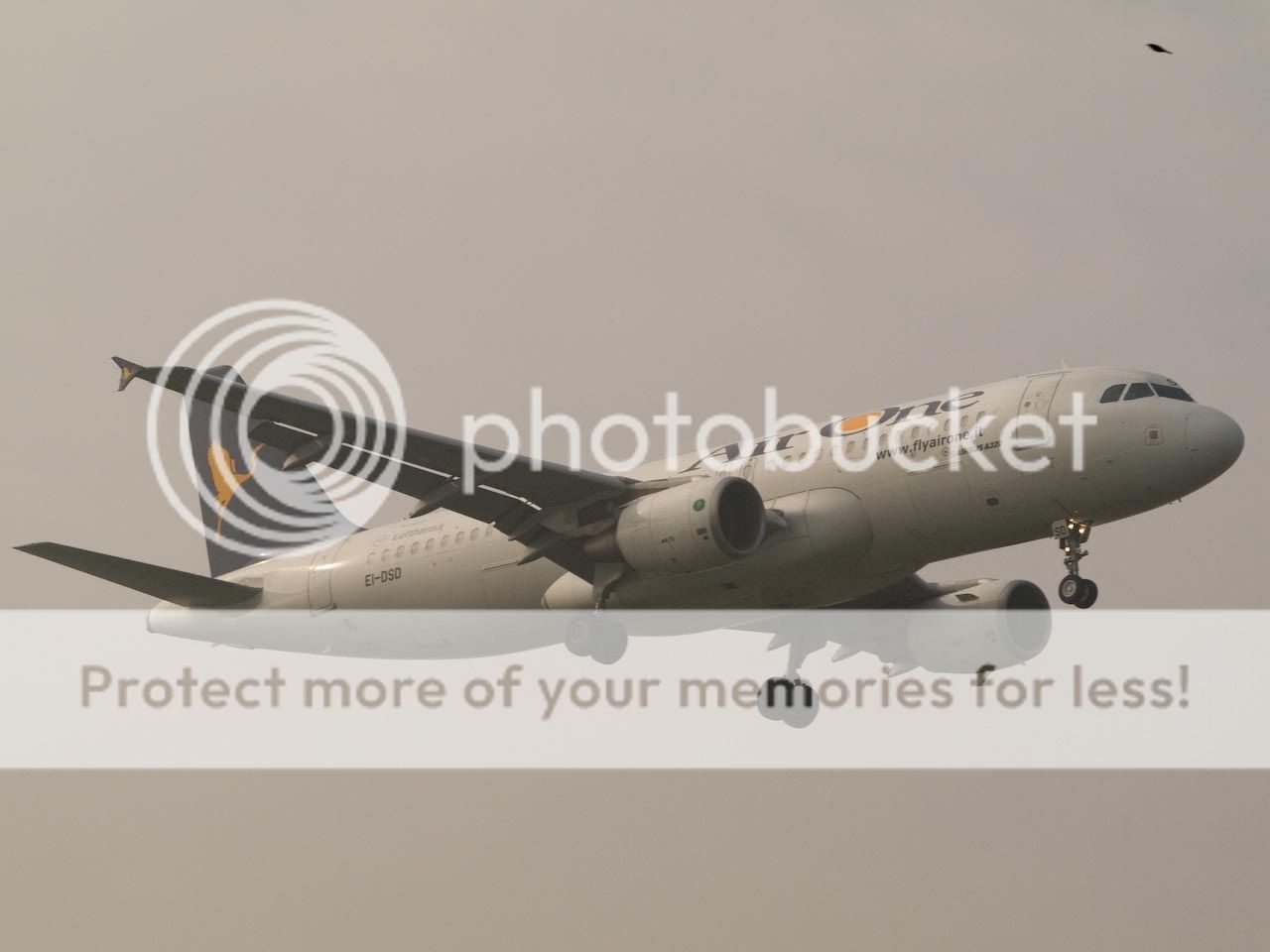 PA251024.jpg