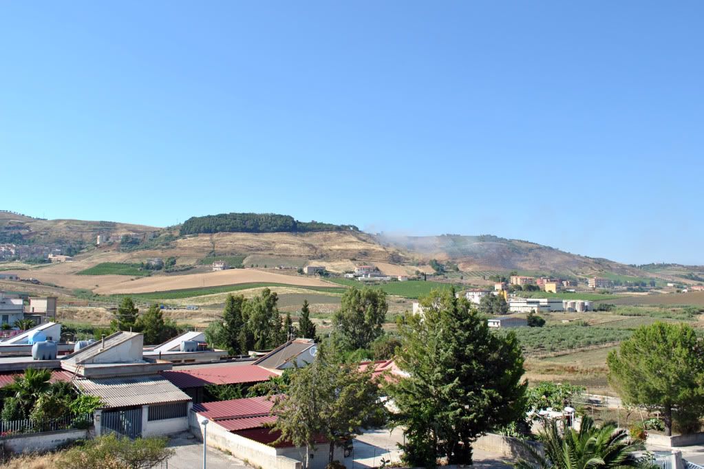 DSC_0285.jpg