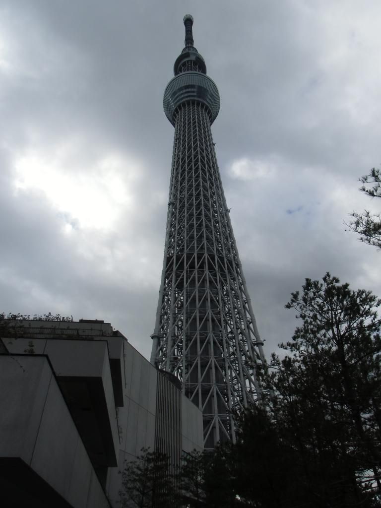 CIMG1051_zps741787d2.jpg