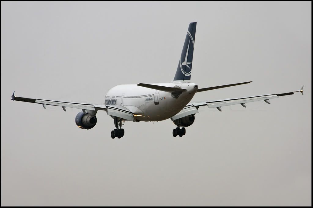 TaromA310b1024pxfor.jpg
