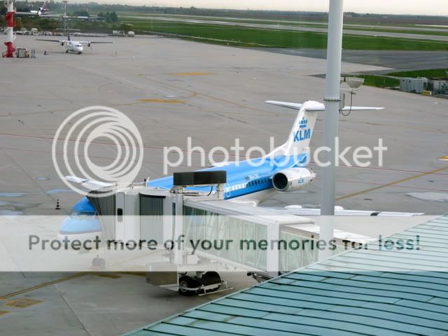 P1040944.jpg