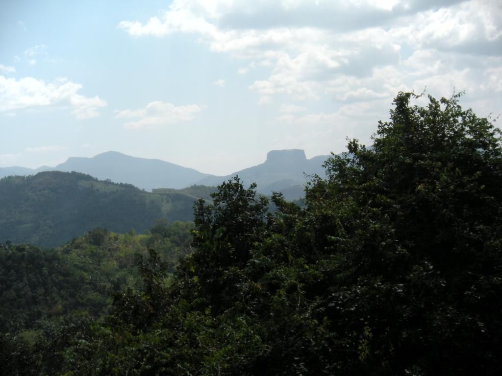 DSCN1970_zps9b8a62c1.jpg