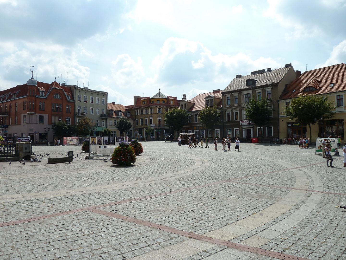 P1030436.jpg
