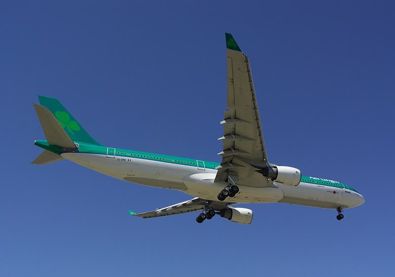 EI-ORDagp.jpg