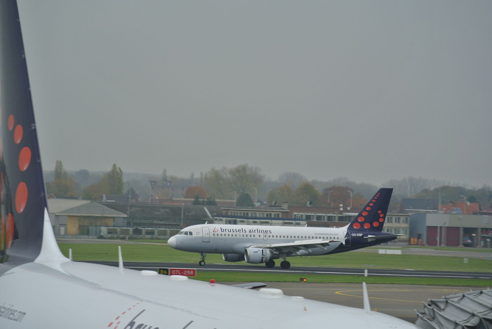 DSC_1449.jpg