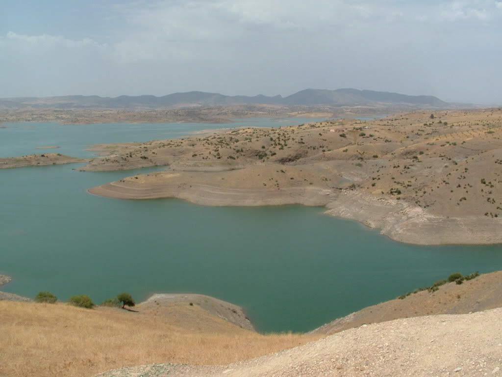 DSCF0313.jpg