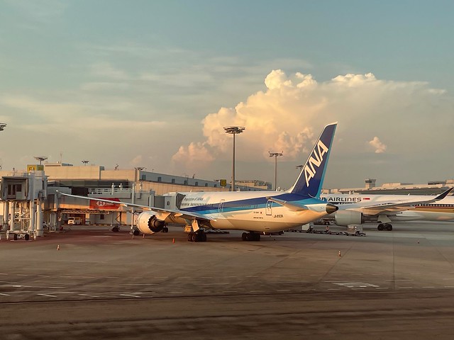 54299014861_b09116c034_z.jpg