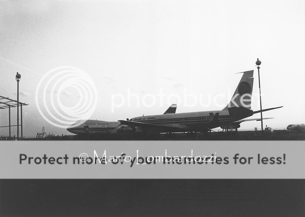 egyptair.jpg
