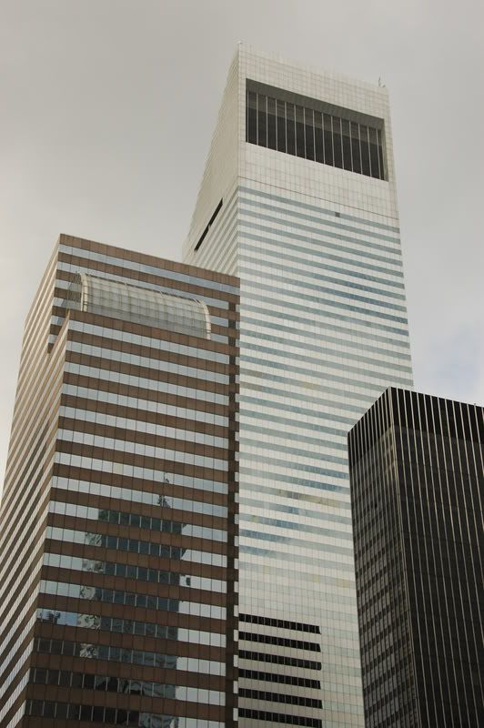 DSC_8540.jpg
