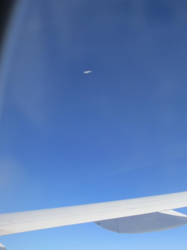 IMG_4087_zps75274fc7.jpg