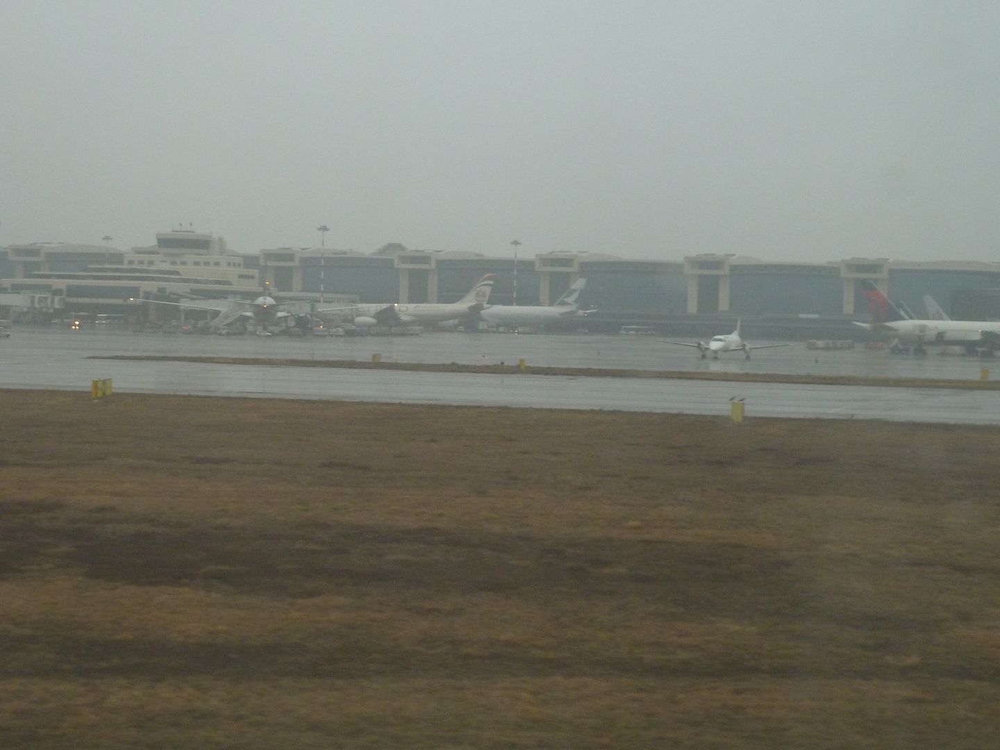 P1020430.jpg