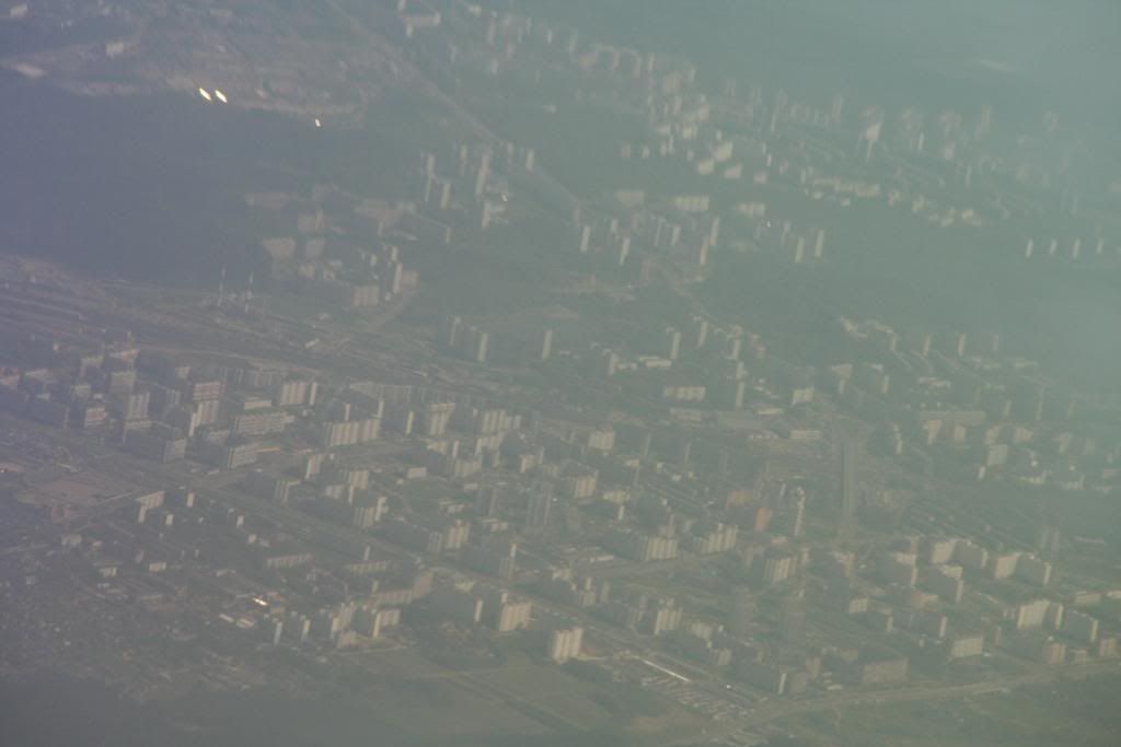 mosca49.jpg