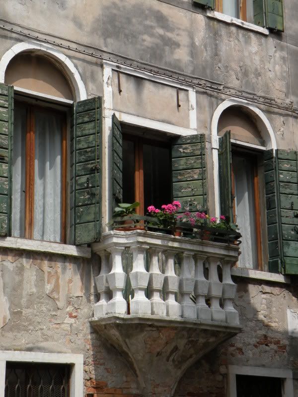 DSCN8556.jpg