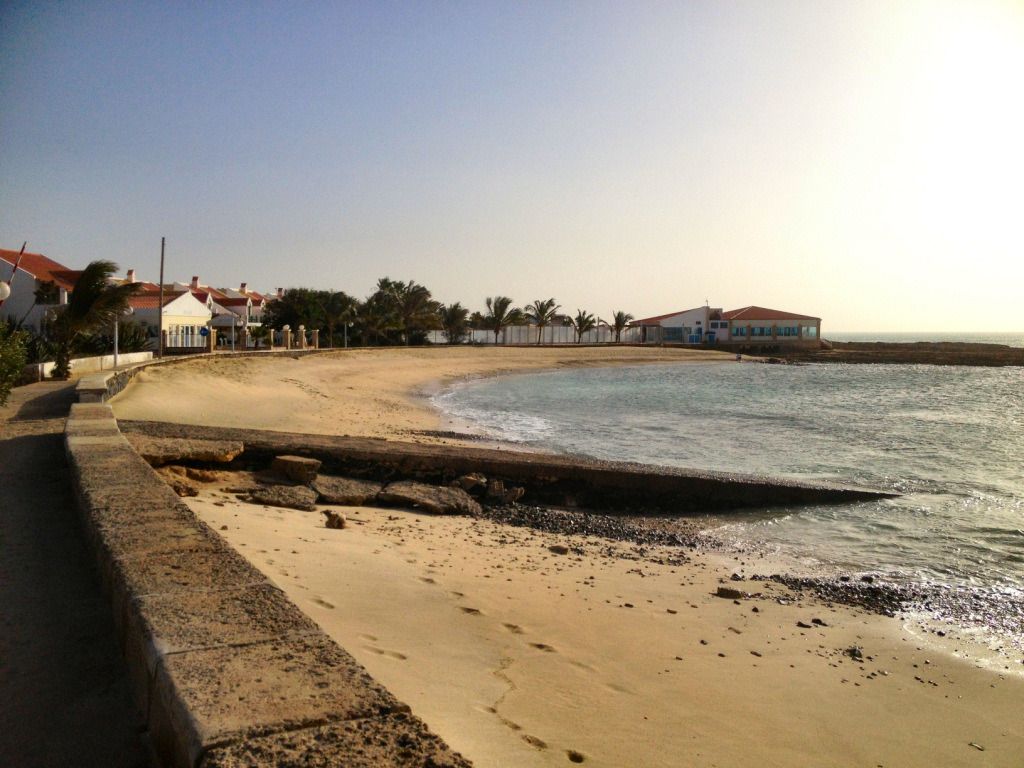 CV2013_082.jpg