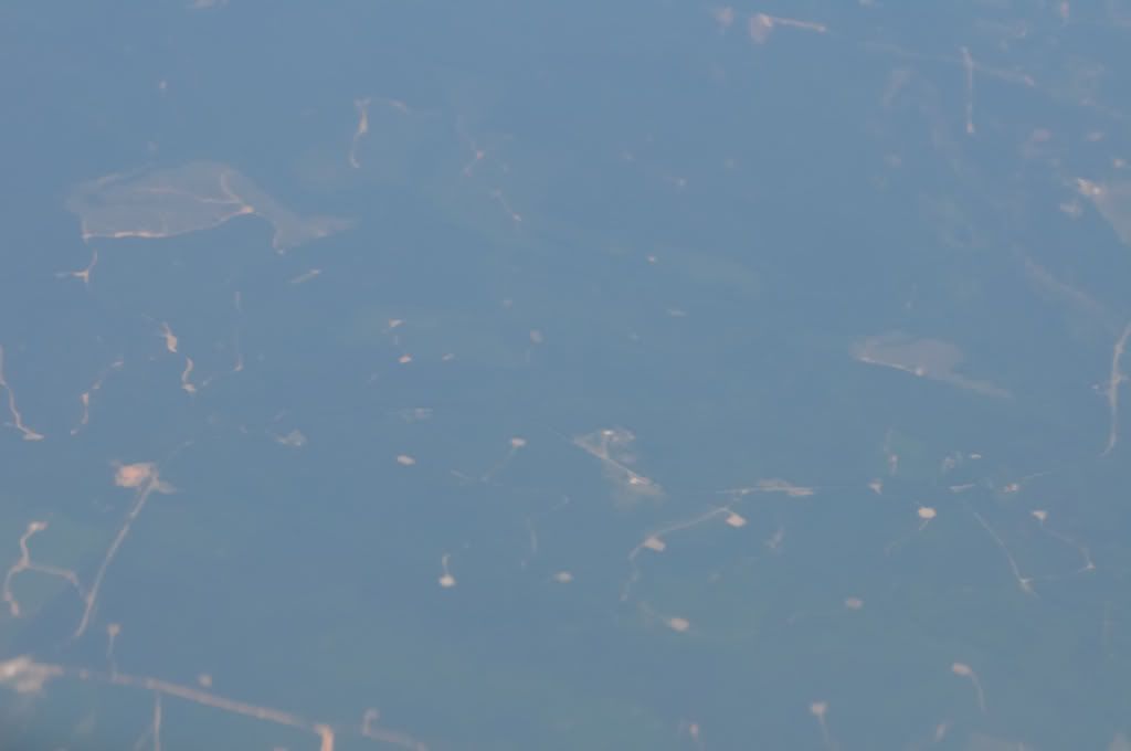 DSC_0153.jpg