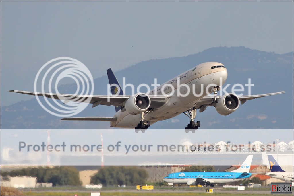 062_hz_akw__bibbi.jpg