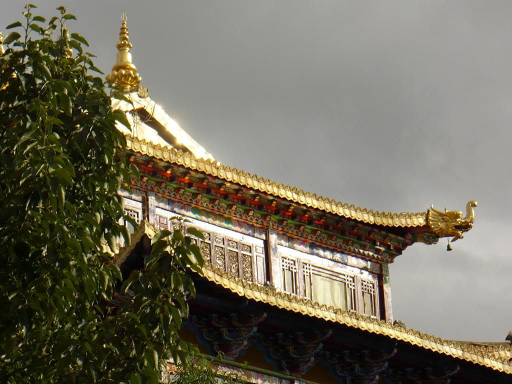 P1010336.jpg