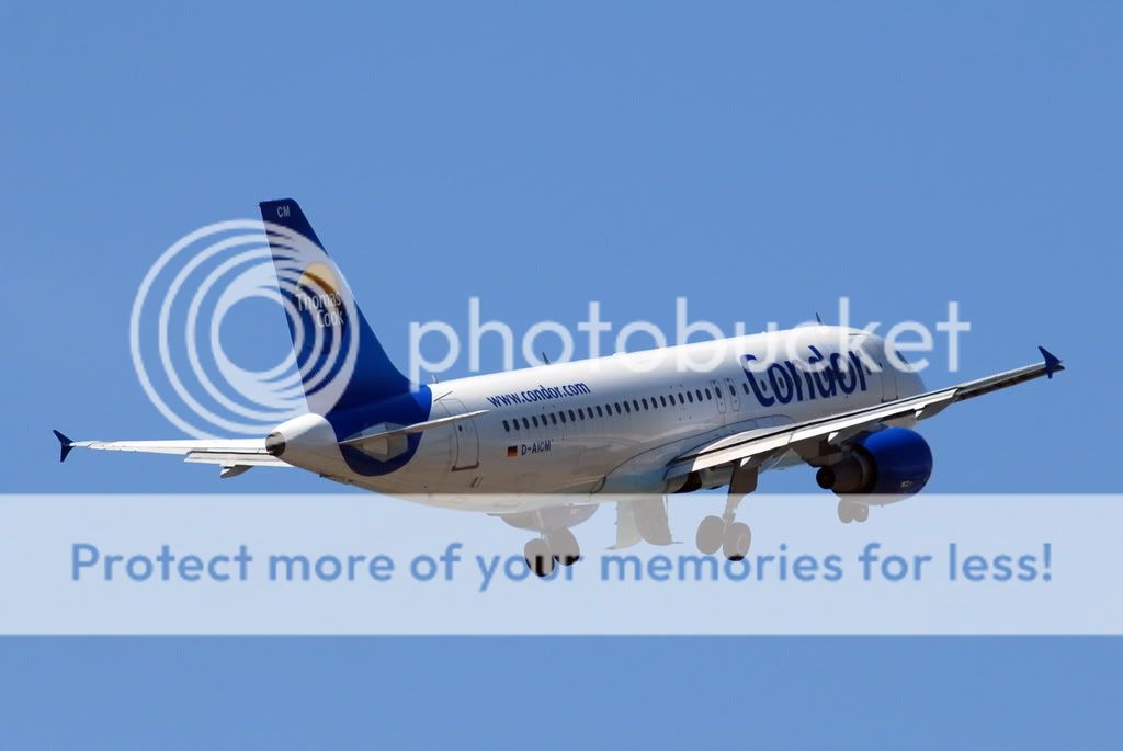 condor3.jpg