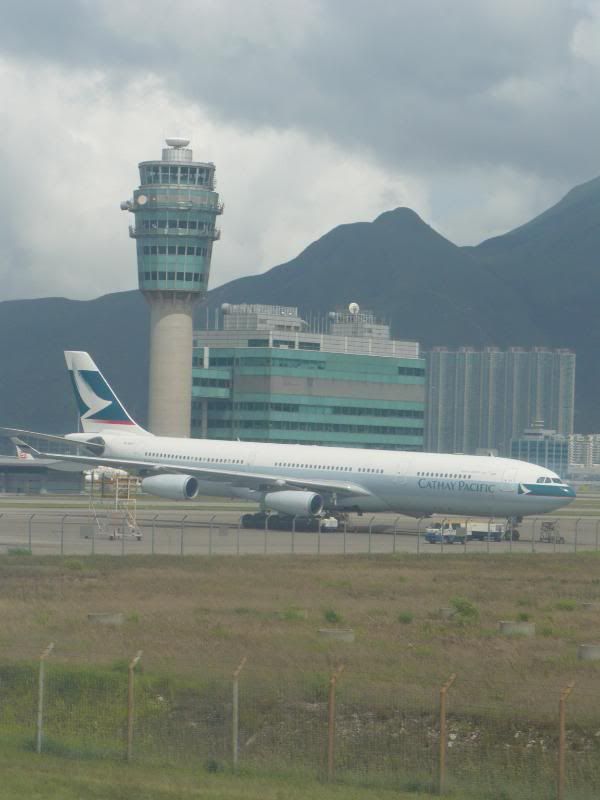 P1000330.jpg