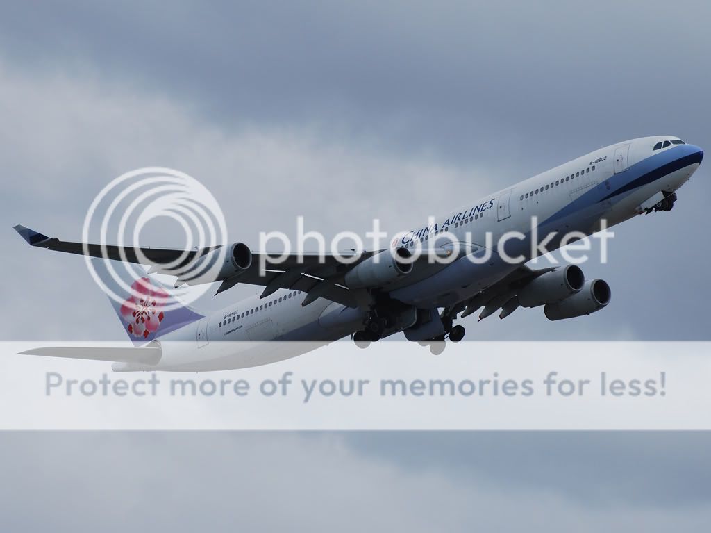 b-18802.jpg