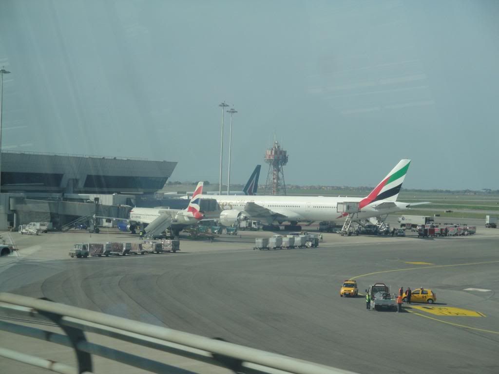 DSC01343.jpg