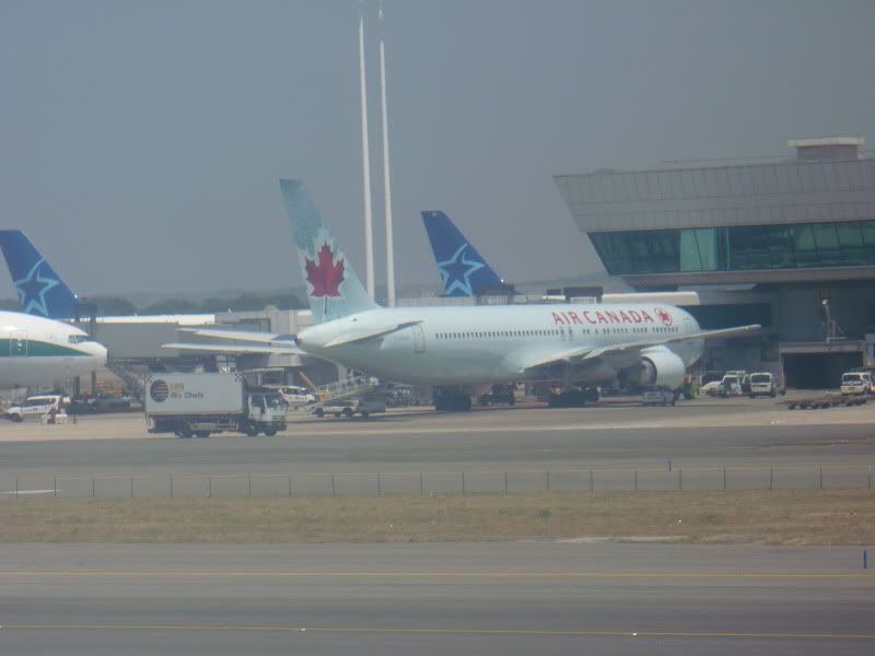 P1020190.jpg