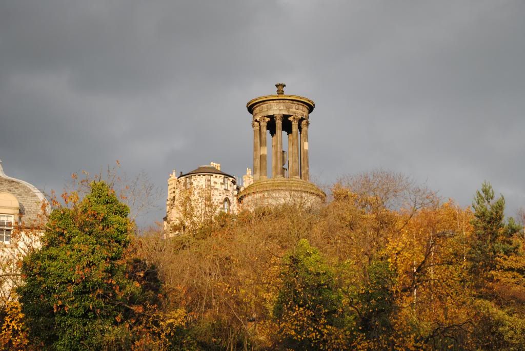 DSC_0416.jpg
