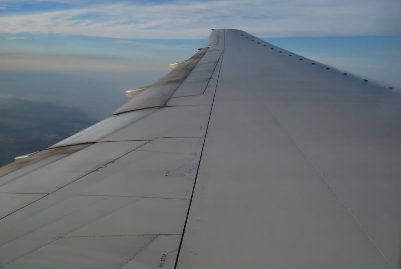 DSC_6602.jpg