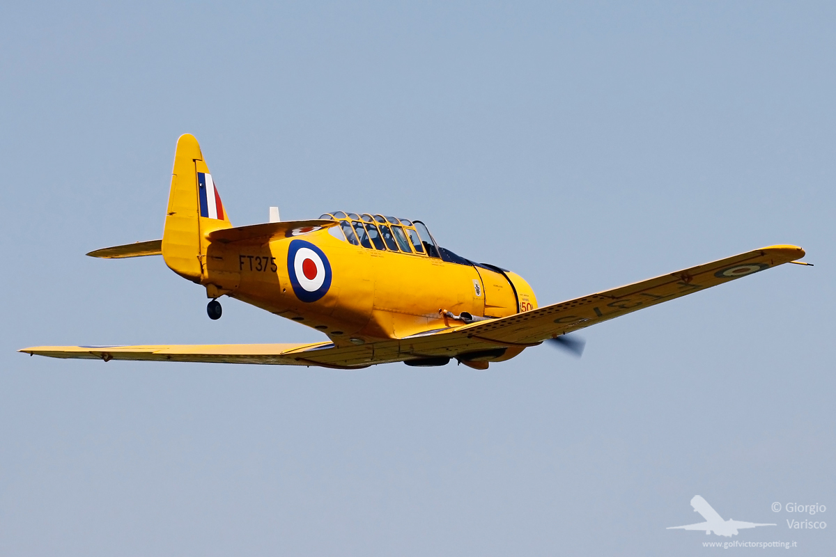 _MG_9810_300613.jpg