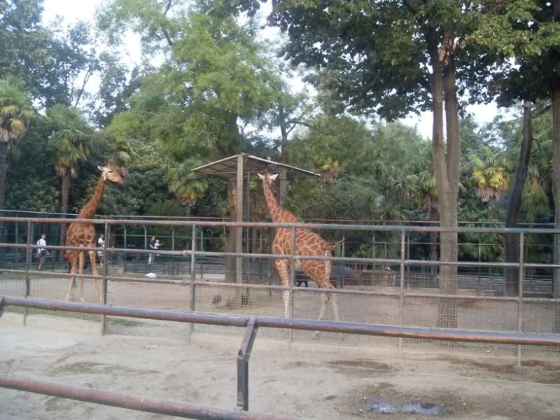 SDC12031.jpg