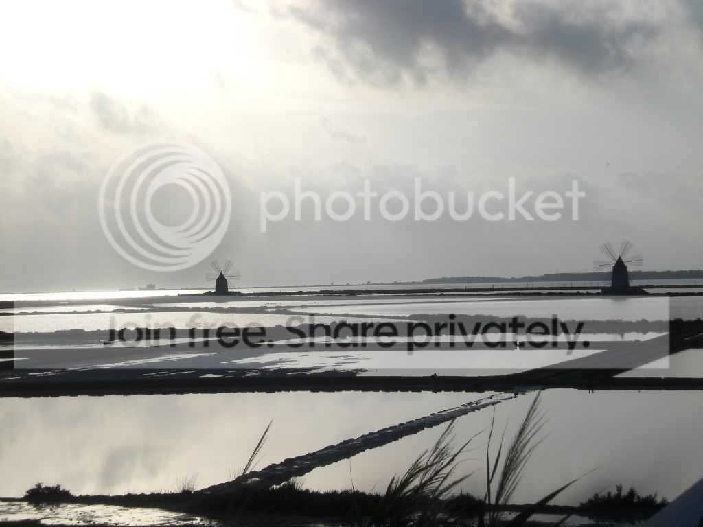 resized_Trapani328.jpg