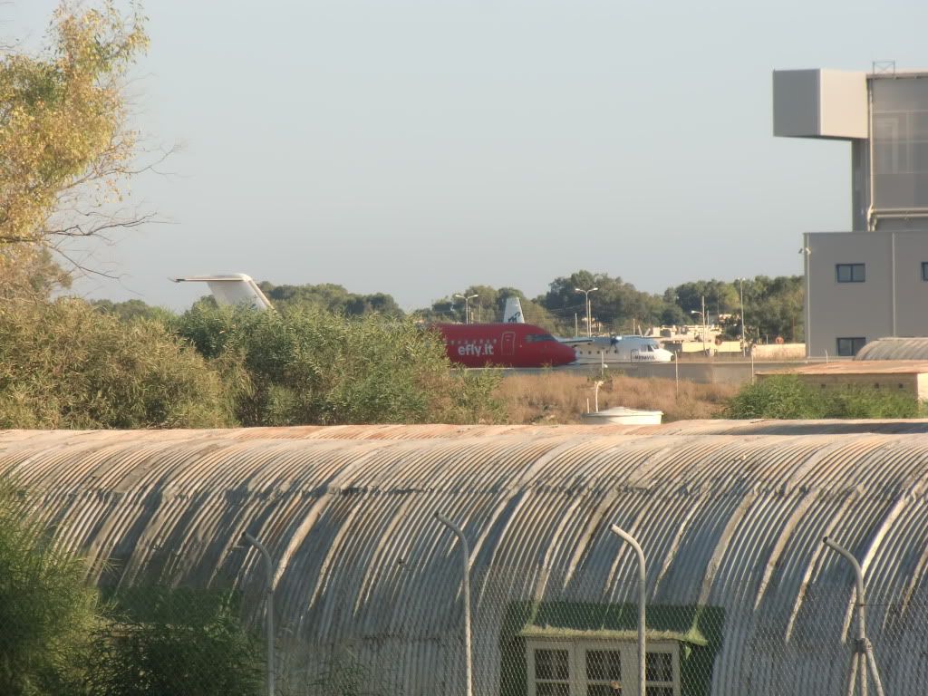 CIMG3973.jpg
