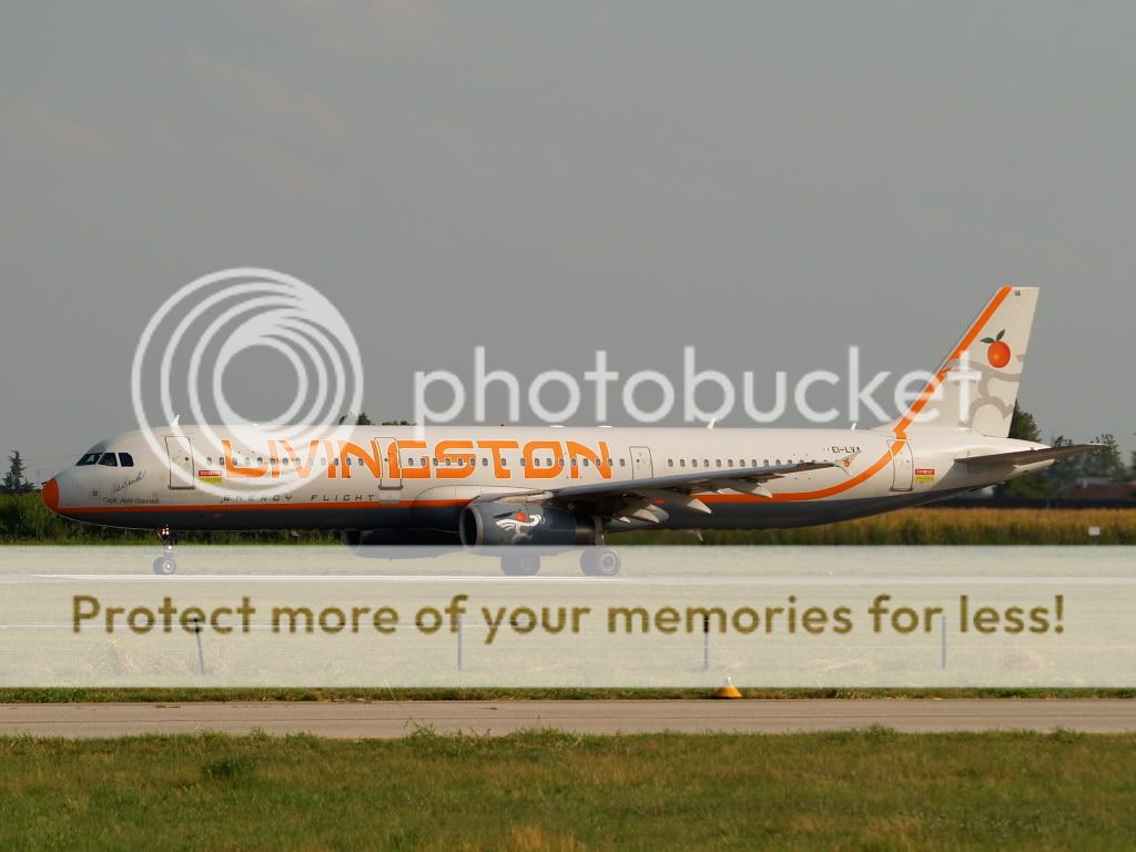AM229499.jpg