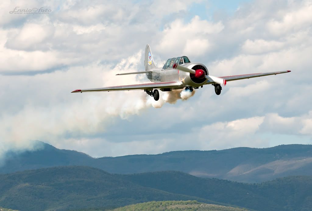 _DSC3163.jpg