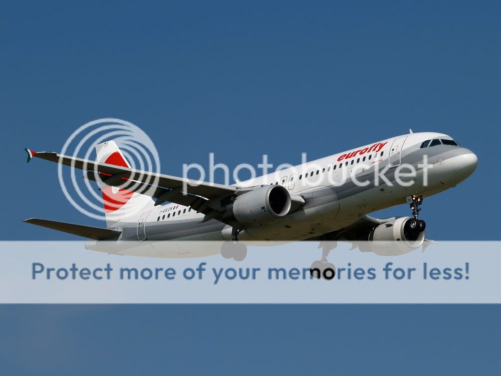 AM018779.jpg