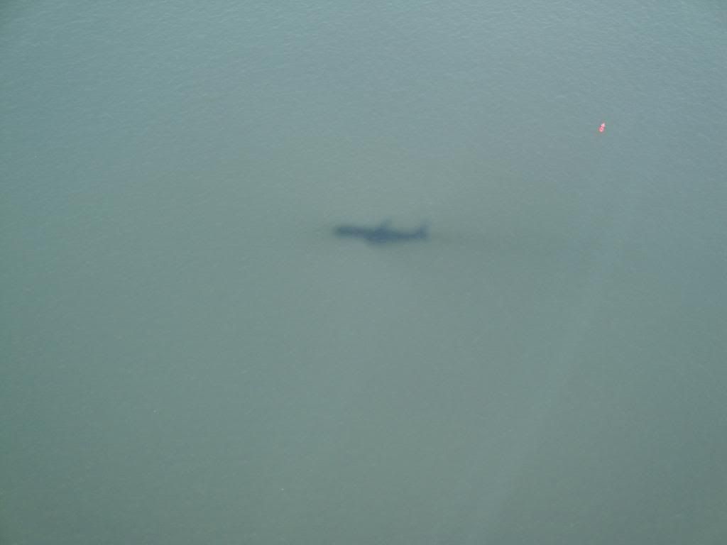 DSC01448.jpg