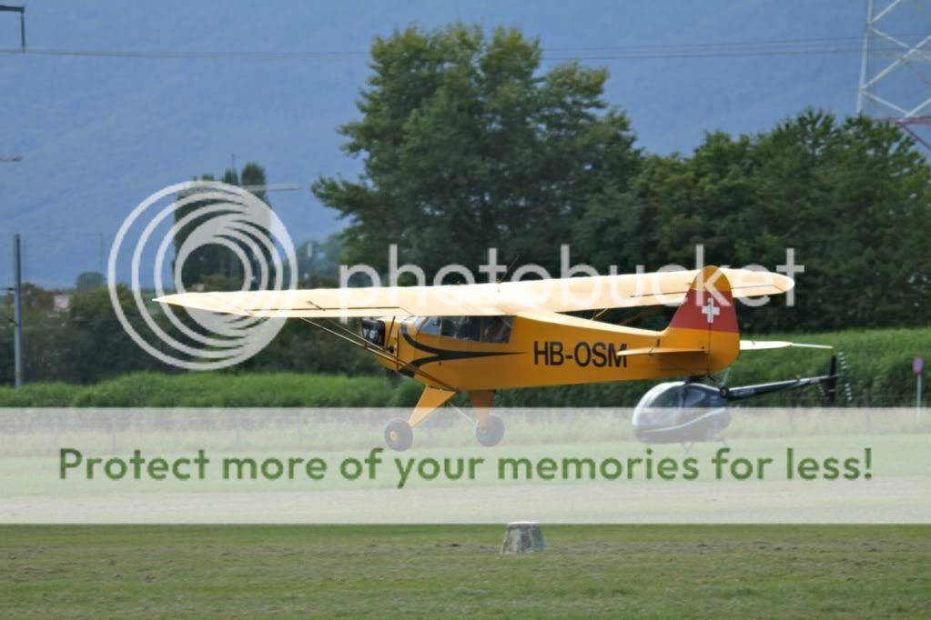 31599ceb.jpg