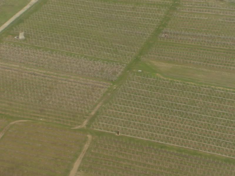 CIMG8557.jpg