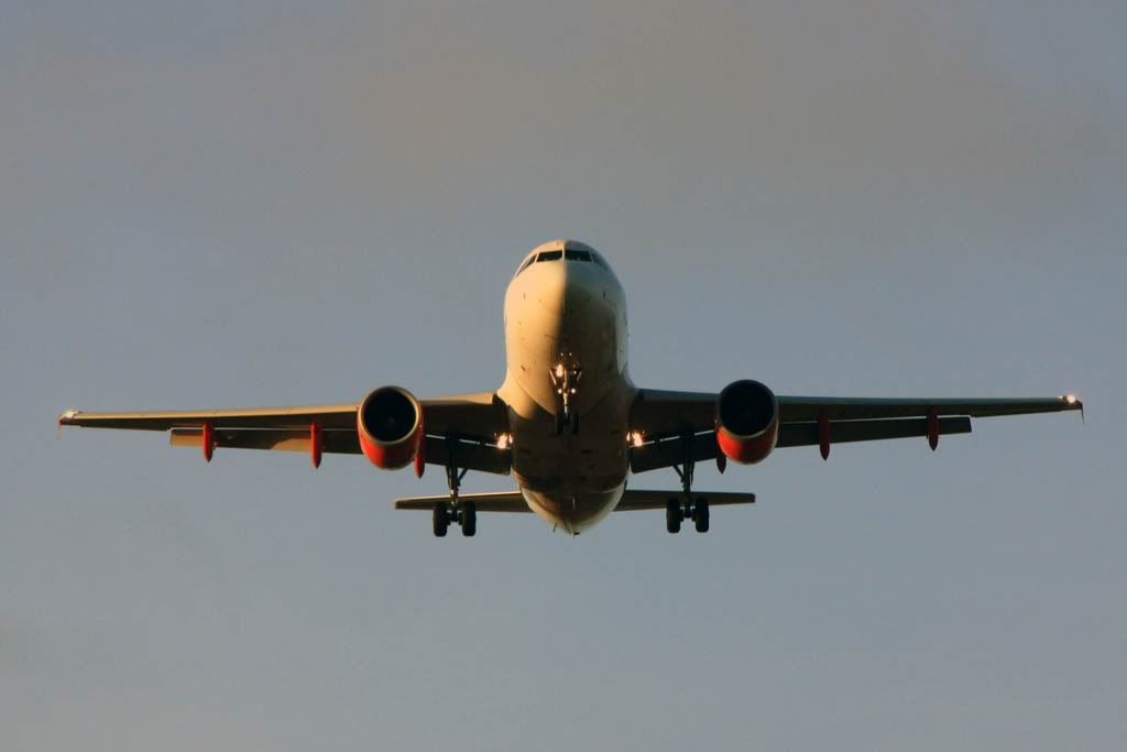 IMG_5451.jpg