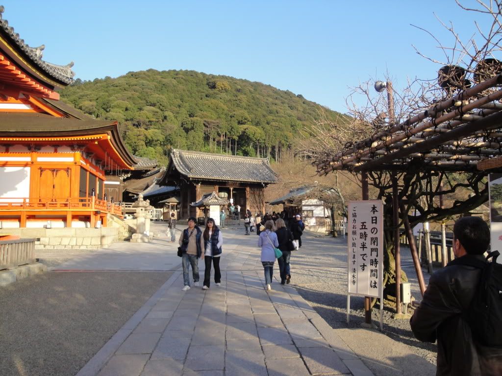 DSC01589.jpg